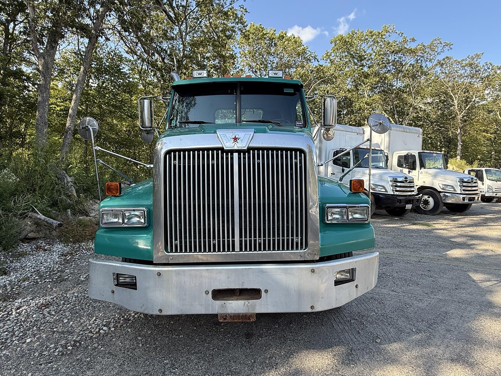2016 WESTERN STAR 4900 - image 2 of 6